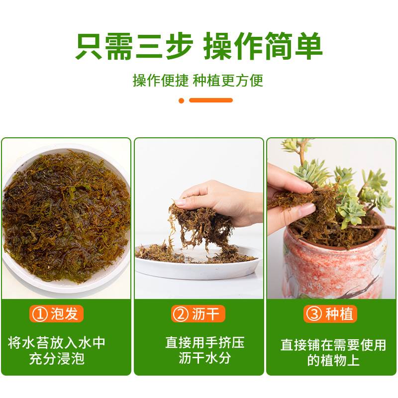 水苔藓青苔蝴蝶兰石斛兰花专用营养土乌龟爬宠造景垫材植物干苔藓 - 图1