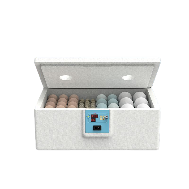 全自动智能水床孵化器鸡鸭鹅鸟类孵蛋器家用小型孵化机自动控温,淘宝优惠券,粉丝福利购,淘宝优惠卷