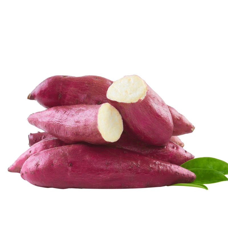 源薯精品装5斤 源薯番薯