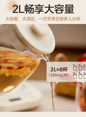 美的有钛养生壶2L大容量炖煮一体恒温煮茶泡茶多功能电热水壶新款