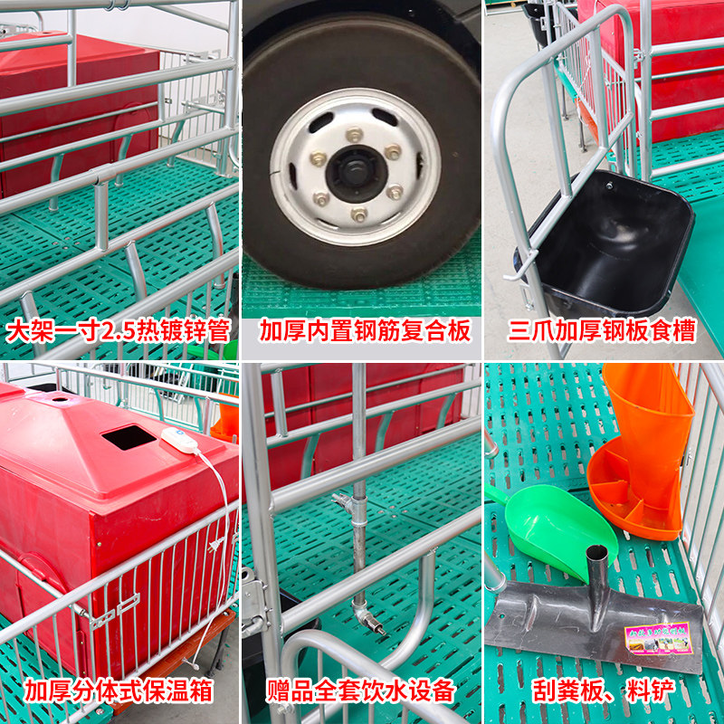 产保一体热镀2.5全复合单双体母猪产床保育两用床定位栏养猪设备,淘宝优惠券,粉丝福利购,淘宝优惠卷