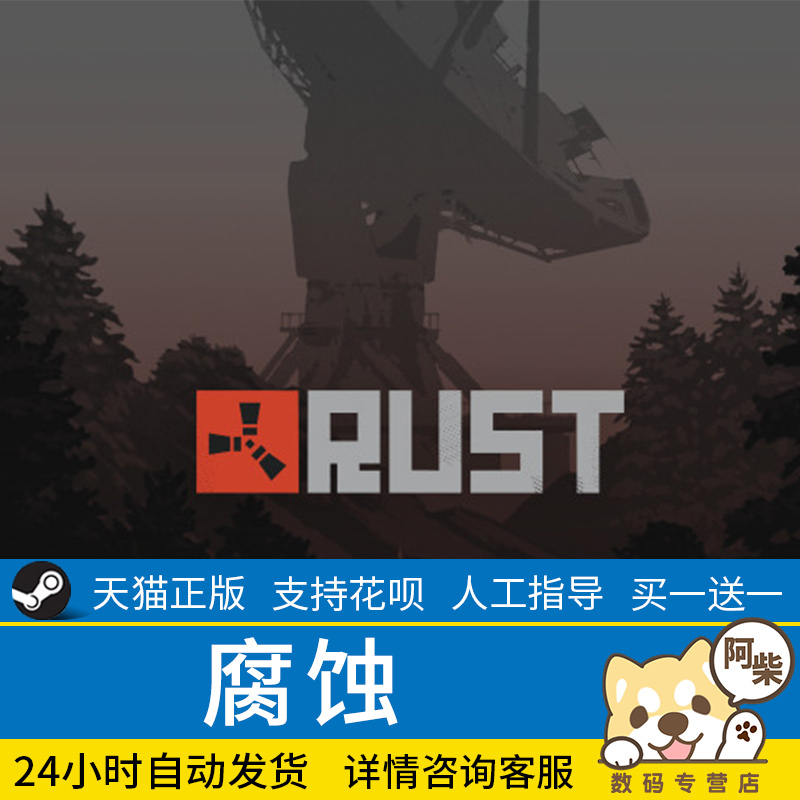 steam正版 腐蚀 Rust 生存 制作 国区礼物 成品号 - 图0