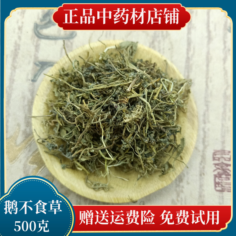 中药材鹅不食草野生新鲜干货500g包邮食胡荽鹅不食鹅不吃草粉末-图0