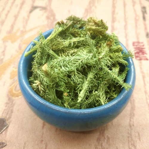 伸筋草野生500克包邮 伸金草正品舒筋草红花艾叶伸筋草透骨草泡脚 - 图0