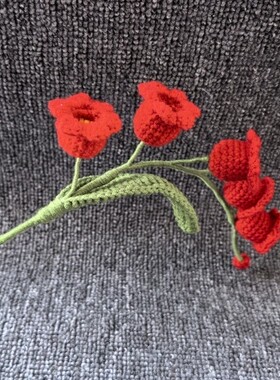 喜庆红色小风铃永生花 diy手工编织毛线花朵 插福桶花瓶仿真假花