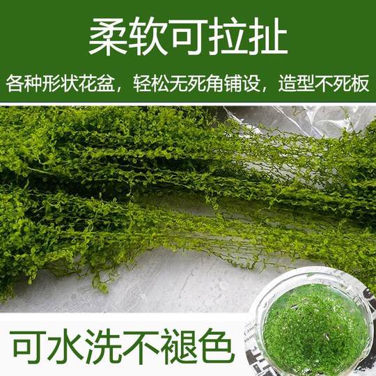 仿真苔藓草皮假青苔丝状仿生绿植盆栽人造景微景观花盆表面覆盖物