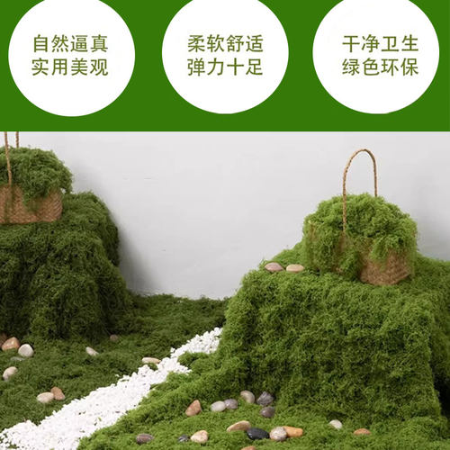 仿真苔藓草皮仿生假苔藓仿真草坪永生假青苔微景观绿植造景假草丝 - 图2