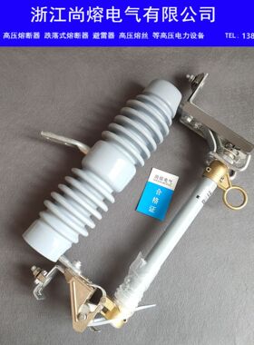 户外高压跌落式熔断器10KVRW12-15/100A200A跌落保险令克开关12KV