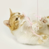 Медкарные сказочные перья трепетание кошачьи палочки кошачья игрушечная игрушка колокол колокол эластичный веревка