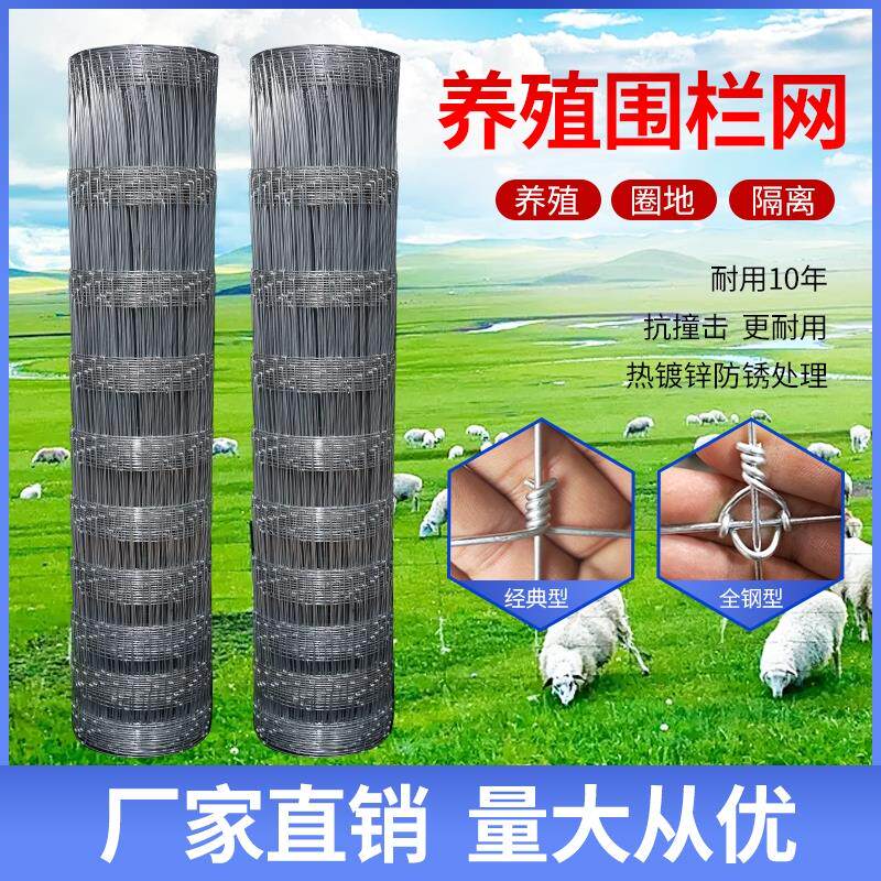  小猪哩哩动力电池单体/模块/系统