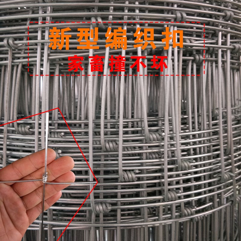  小猪哩哩护栏/隔离栏