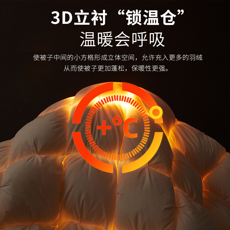 希尔顿正品羽绒被95白鹅绒被子被芯五星级酒店春秋被保暖加厚冬被,淘宝优惠券,粉丝福利购,淘宝优惠卷
