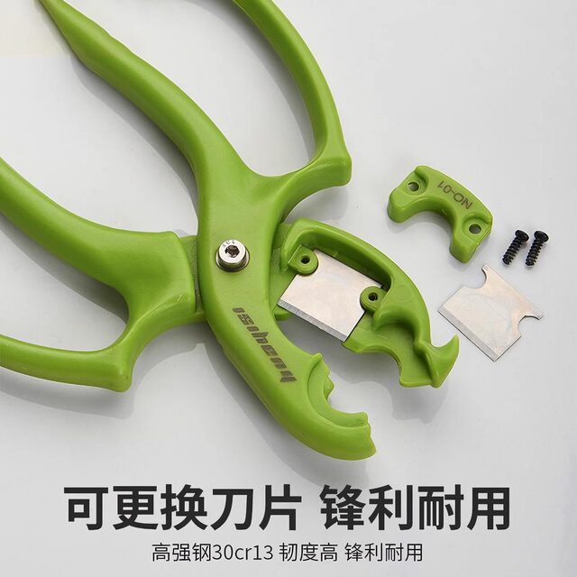 Multifunctional floral scissors for pricking flowers, removing leaves and pruning artifacts, flower arrangement scissors for flower cultivation