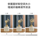 Miniature premium aromatherapy home indoor long-lasting fragrance