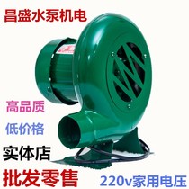 Small blowers Home Kitchen Electric Barbecue Combustion Stove HOTEL FAN EGG-TLET BLOWER