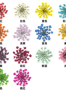 滴胶干花材料压花满天星手工diy