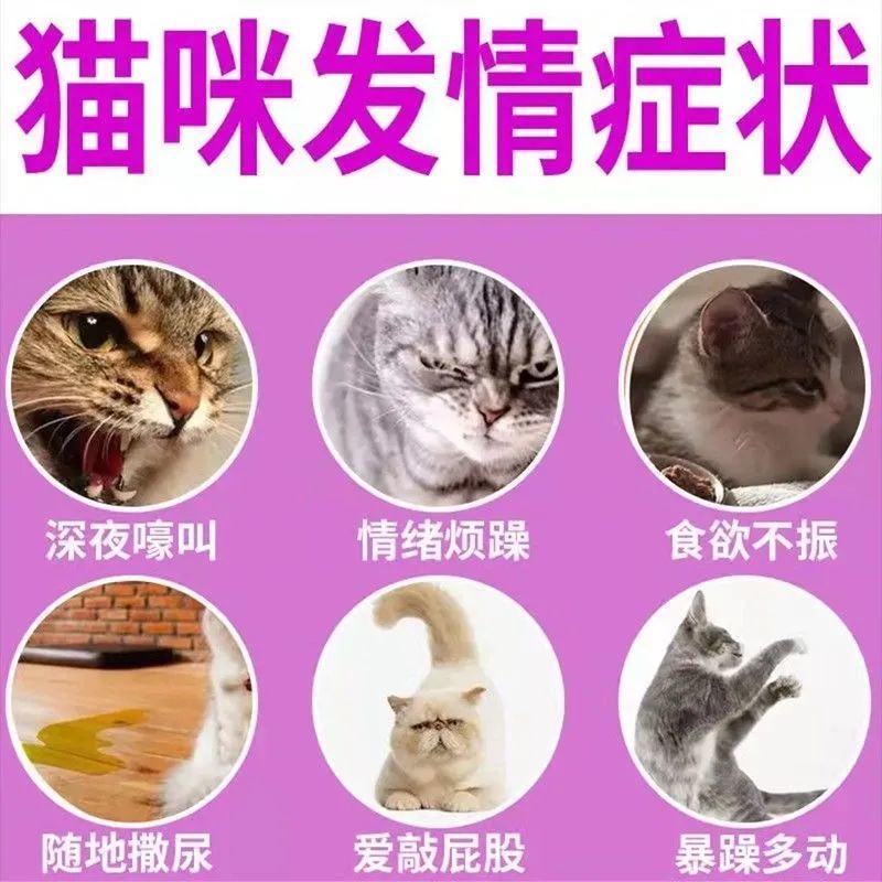 不【绝育】猫咪禁情粉母猫安抑情喷雾猫咪绝情宠物禁情绝育专用 - 图0