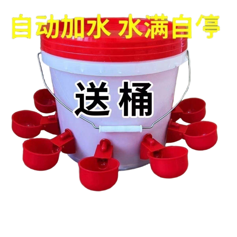 图5