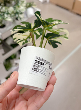 北欧慵懒家装饰品小龟背竹