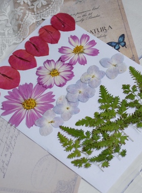 干花材料包福袋 diy植物标本画押花台灯扇子蜡烛滴胶手机壳花瓣妆
