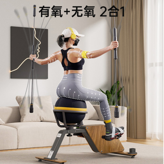 Fanpin Bounce Cycling Exercise Bike Fitness Bike