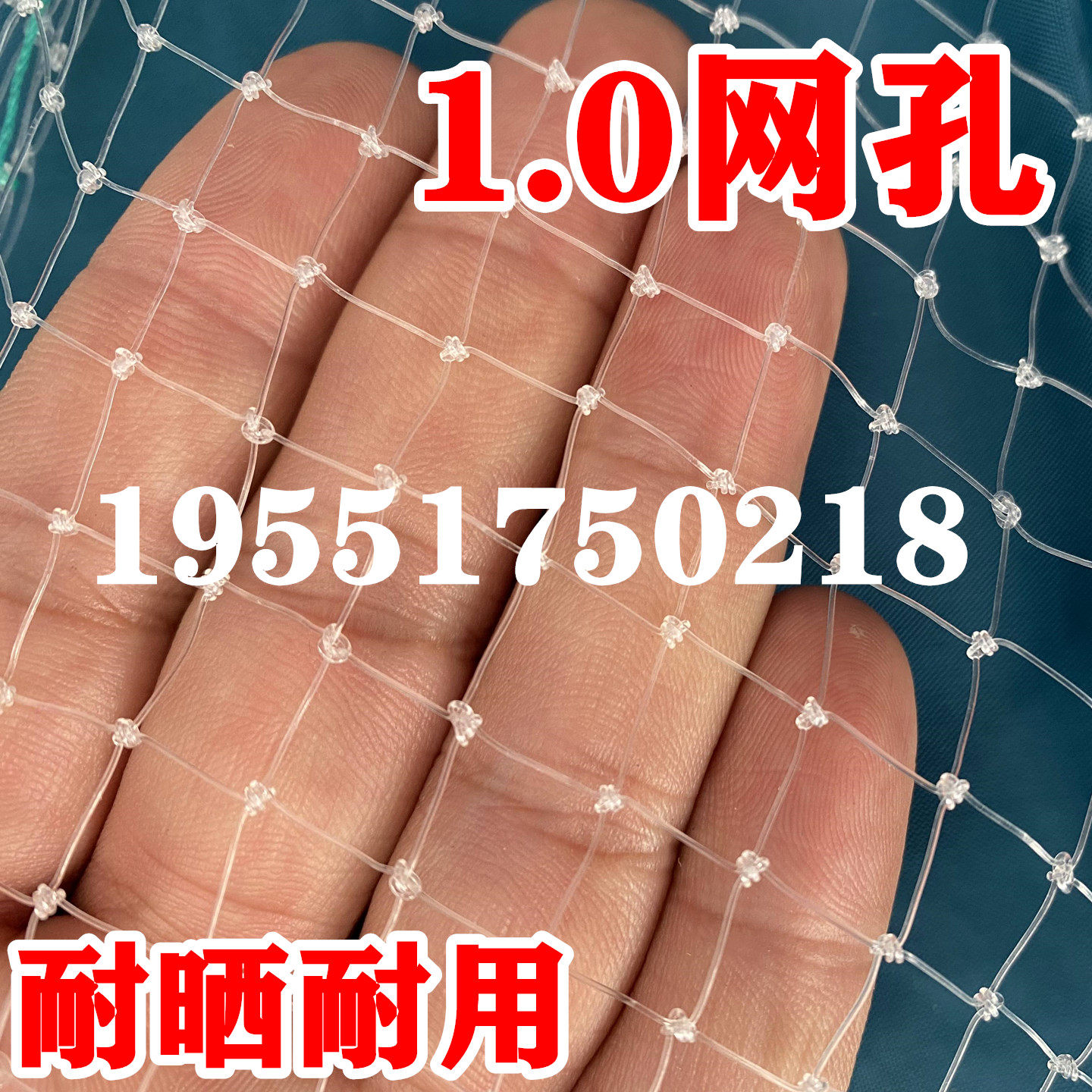 1厘米网眼果树防鸟网果园大棚樱桃防鸟用的网嘉宝果树网防雹网,淘宝优惠券,粉丝福利购,淘宝优惠卷