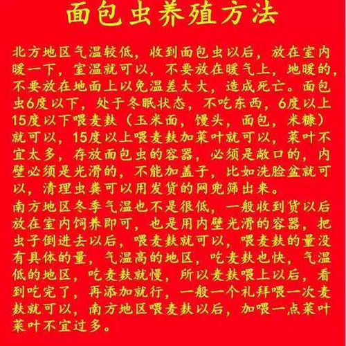 喂幼鸟吃的虫子小鸡鹦鹉百灵画眉八哥鱼饵食物燕子粮饲料面包虫活 - 图2