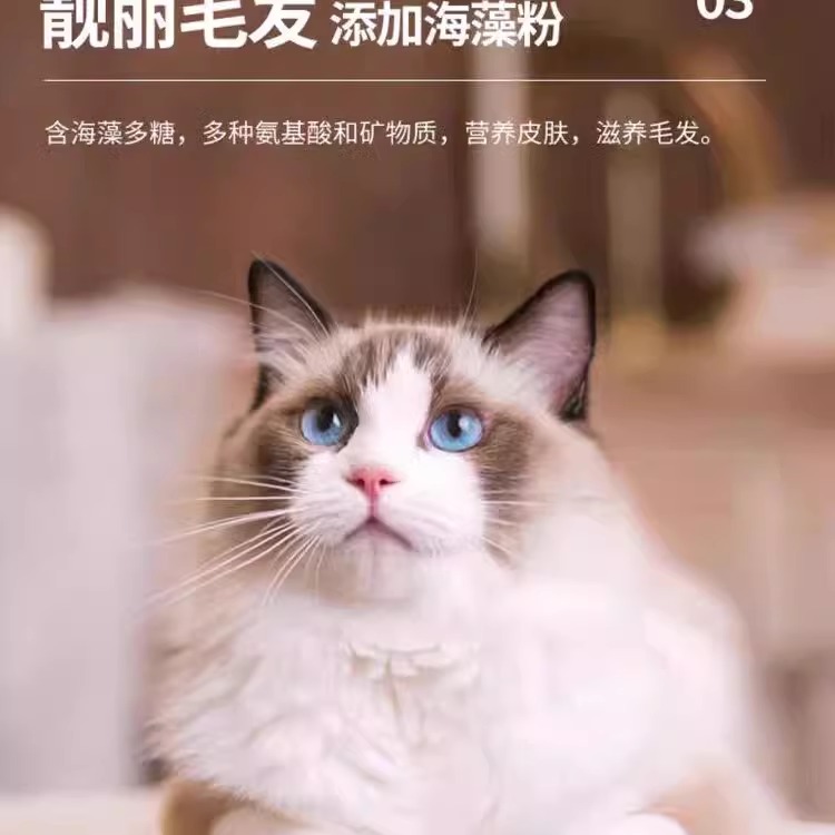 宠维趣猫粮三文鱼冻干蓝猫美短布偶渐层美毛亮眼助消化幼猫成猫粮 - 图2