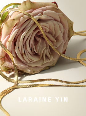 LARAINE YIN欧美小众高级感多层叠戴项链女 长款流苏蛇骨链毛衣链