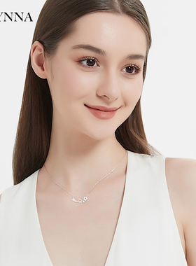 流星划过我默默许下愿望纯银项链