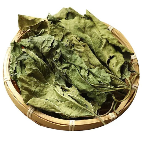 亳佰-桑叶500克包邮中药材精选桑叶干桑叶霜桑叶青桑叶冬桑叶新货 - 图3