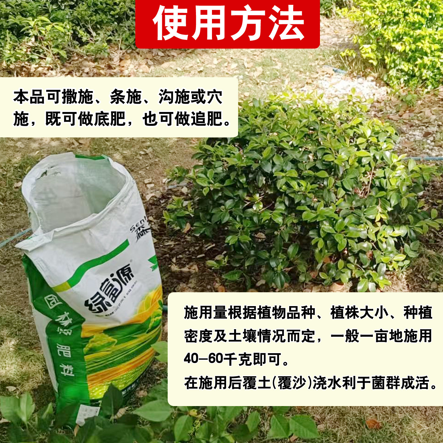 森活绿富源枯草芽孢菌杆菌新型微生物菌肥有机肥料发酵剂生根壮苗,淘宝优惠券,粉丝福利购,淘宝优惠卷