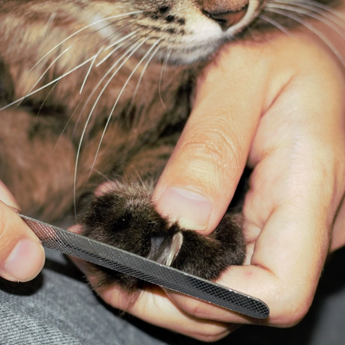 Маникюрные кусачки для ногтей