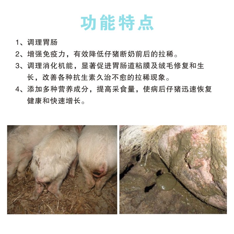 兽用止痢散拉稀药止立安一绝仔猪腹泻牛拉稀羊止泻母猪过奶止痢灵 - 图0