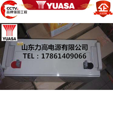 YUASA汤浅蓄电池 NP160-12/12V160AH可代替12V150AH直流屏UPS电池 - 图0