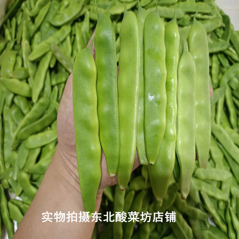 2024年东北新鲜绿油豆角小油豆角黄金勾豆角一点红大宽油豆角 - 图1