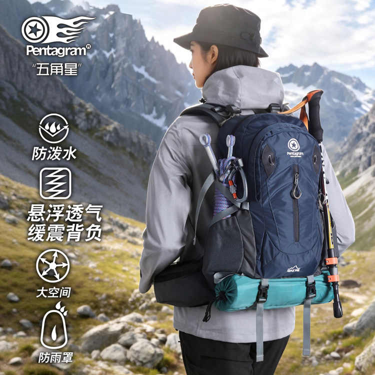 图 2