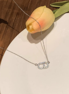 字母锆石项链女轻奢小众高级感猪鼻子气质锁骨链2024新款百搭颈链