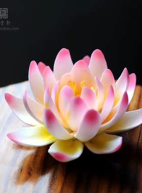 会所禅意风供奉睡莲家居装饰定制