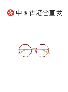 香港直邮CHLOÉ 男士太阳镜 CH0022O012 AW2023 白色 CH0022O