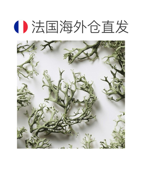 欧洲直邮RalphLauren拉夫劳伦1号马球男士淡香水EDT50ml木质正品