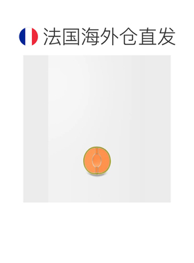 自营欧洲直邮Loewe罗意威 女士银色/橙色黄铜甜瓜【付后1h可退】