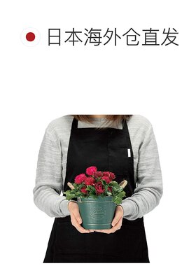 日本直邮温室花盆 优雅绿色圆形花盆 S 4358-D