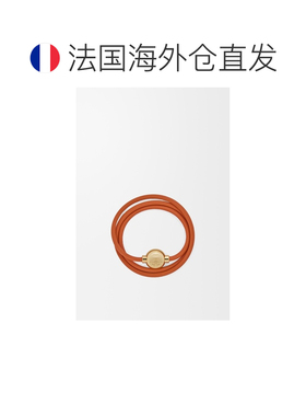 自营1h可退 欧洲直邮Loewe罗意威 Pebble女士橙色/金色小牛皮鹅卵