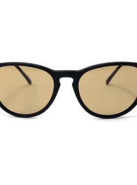 日本直邮Dan Shady's 偏光眼镜 FENTON软×浅琥珀色 PREMIUM LENS