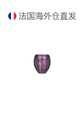 欧洲直邮Dior迪奥 女士紫色水晶玻璃摆件花瓶