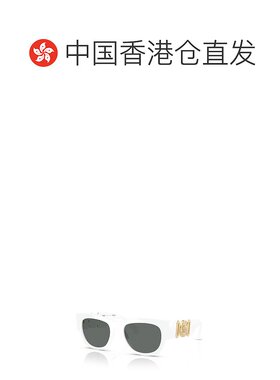 香港直邮VERSACE 男士眼镜 VE4479U31487 SS2025 灰色 全框太阳镜