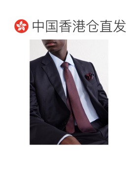 香港直邮zegna杰尼亚男士领带 【付后1h可退】