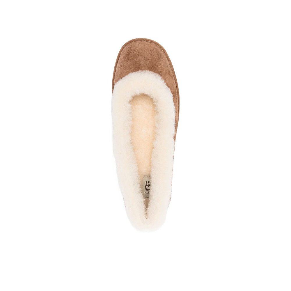 欧洲直邮ugg 女士 休闲鞋,淘宝优惠券,粉丝福利购,淘宝优惠卷