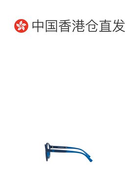 香港直邮EMPORIO ARMANI 男士太阳镜 EA32025088 SS2025 蓝色